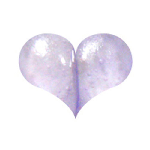 ☆ Naility! アクリルカラーパウダー クリアパープル 3g の通販｜ネルパラ