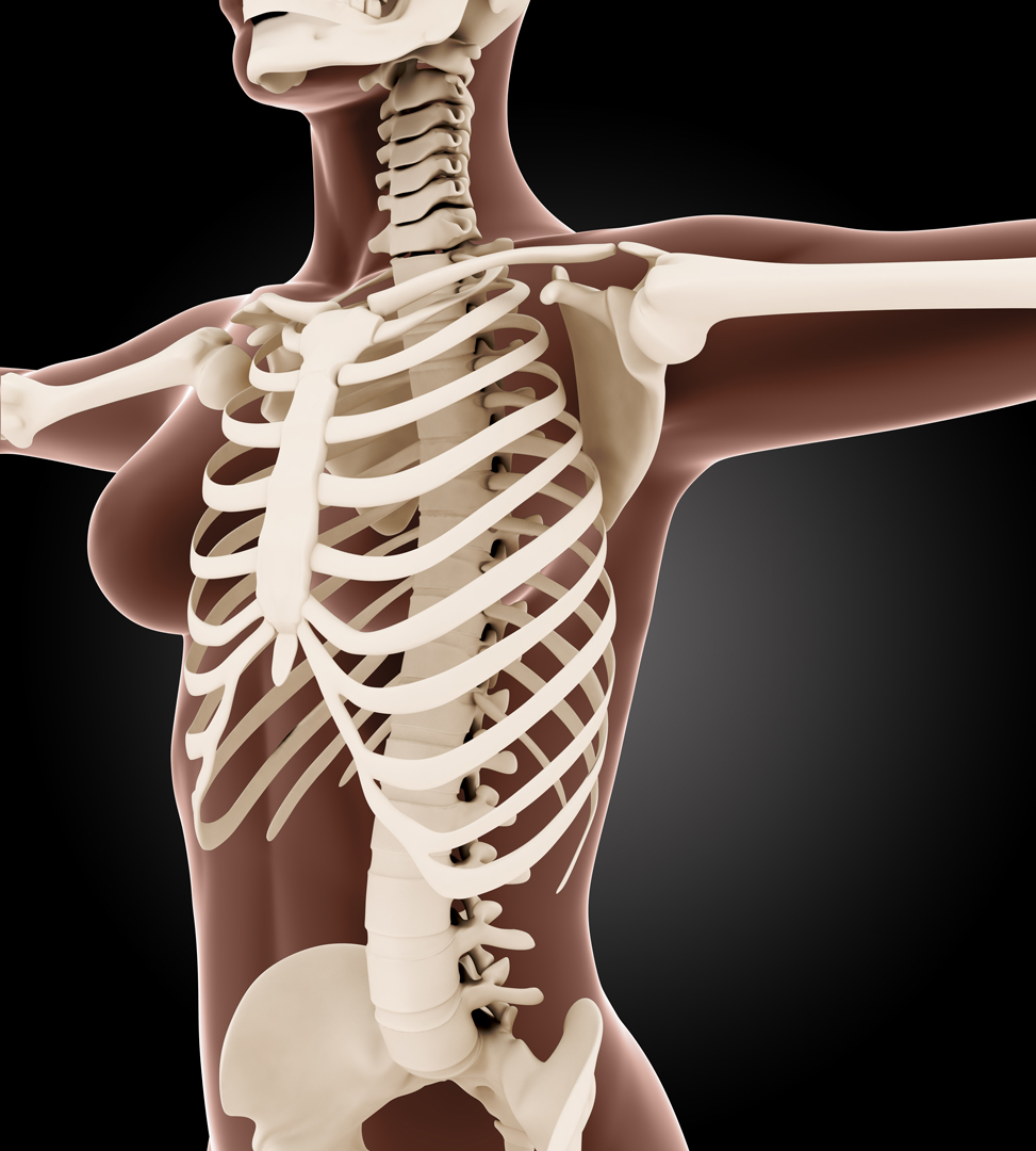 肋骨リモデリングはくびれ形成の新常識｜NERO DOCTOR / BEAUTY（美容医療）