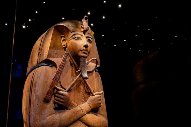 3000年の時を超えた至宝が東京に！エジプト政府公認の「ACN ラムセス