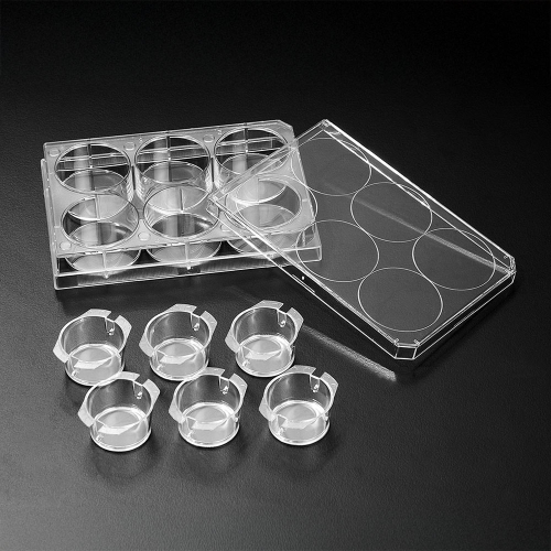 SPL インサート™ハンギング+プレート（6インサート / 6ウェルプレート