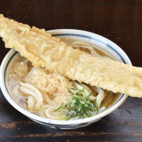 うつ海うどん』うどんの美味しさがダイレクトに伝わる「かけうどん」に