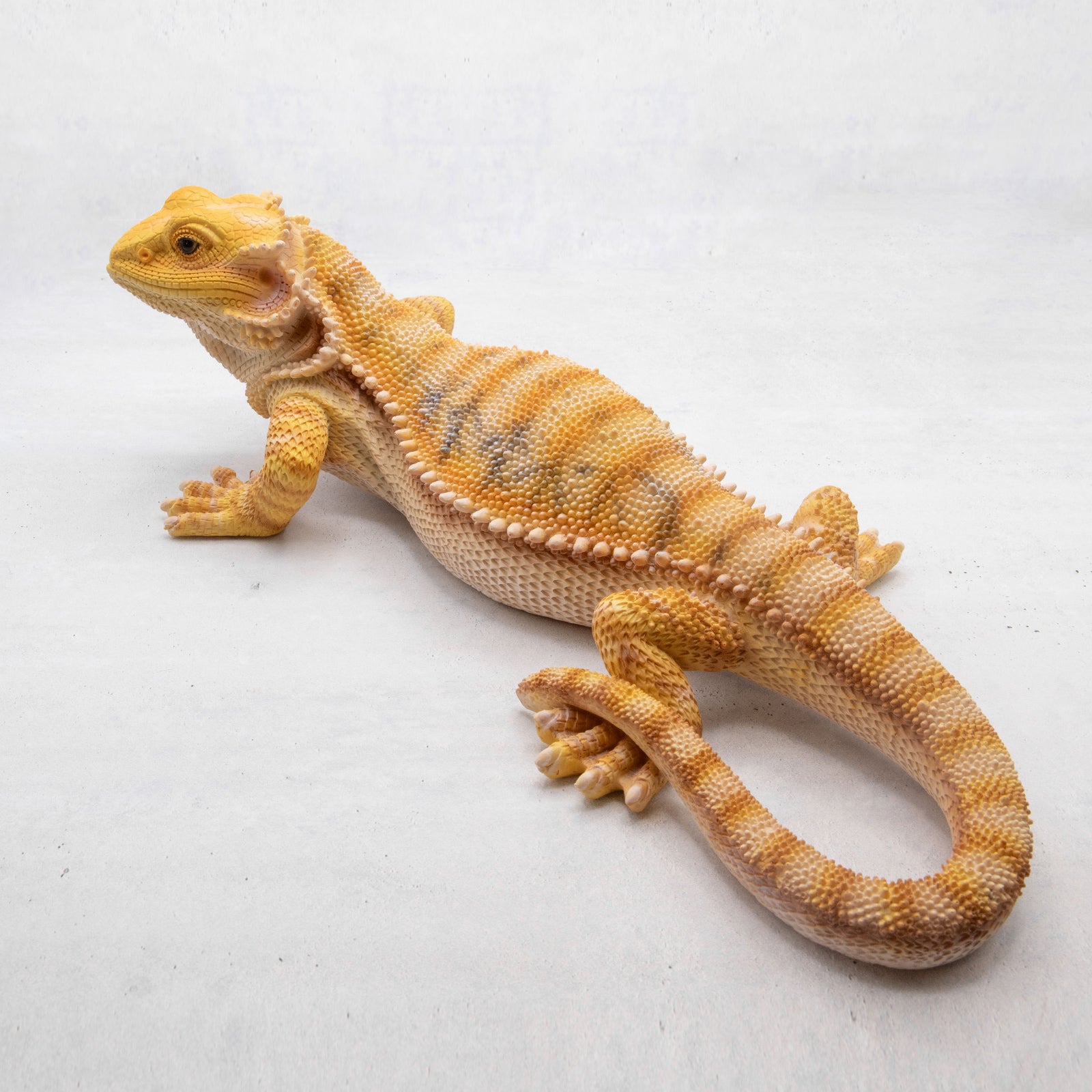 magnet / マグネット 貯金箱 フトアゴヒゲトカゲ – ニコノマニマニ雑貨