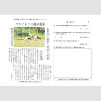 ワークシート｜NIE 教育に新聞を