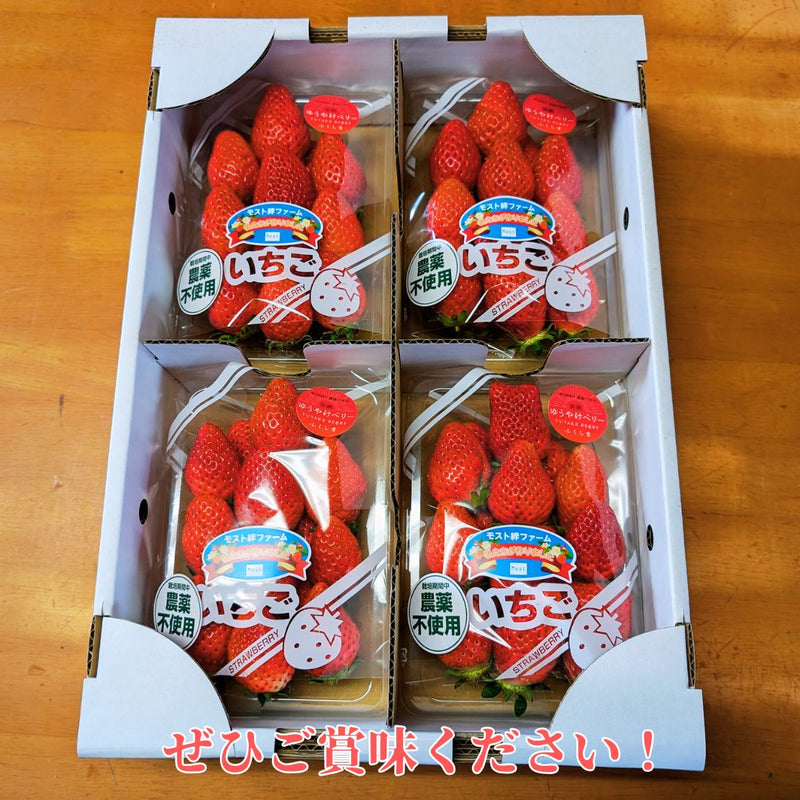 いちご 【モスト絆ファーム】 農薬不使用 ゆうやけベリー 250g×4P 福島