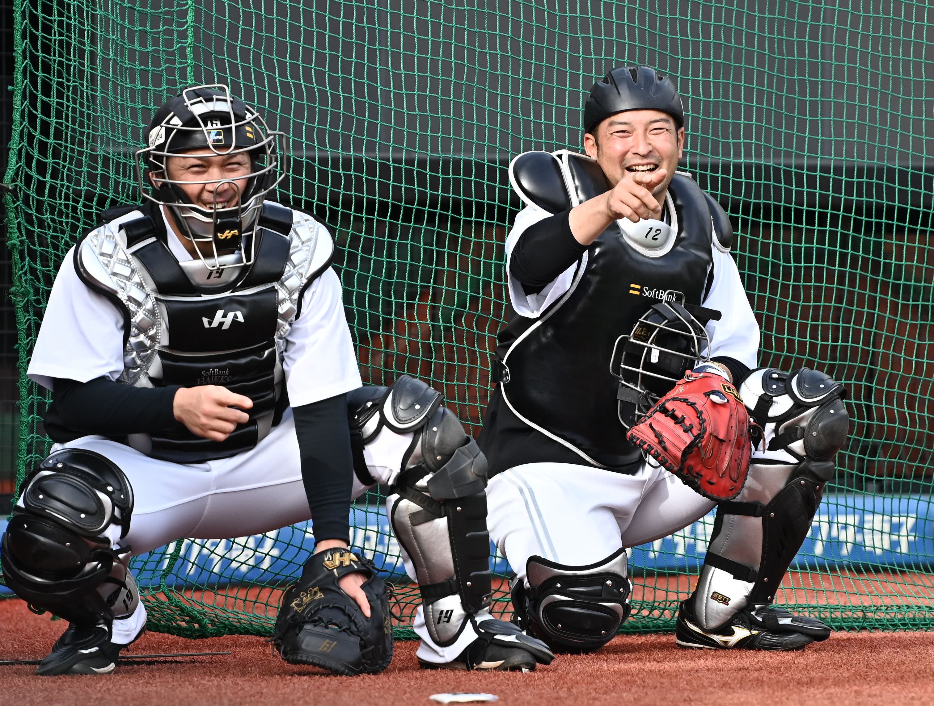 NPB硬式木製バット 福岡ソフトバンクホークス嶺井博希選手 12 嶺井 博