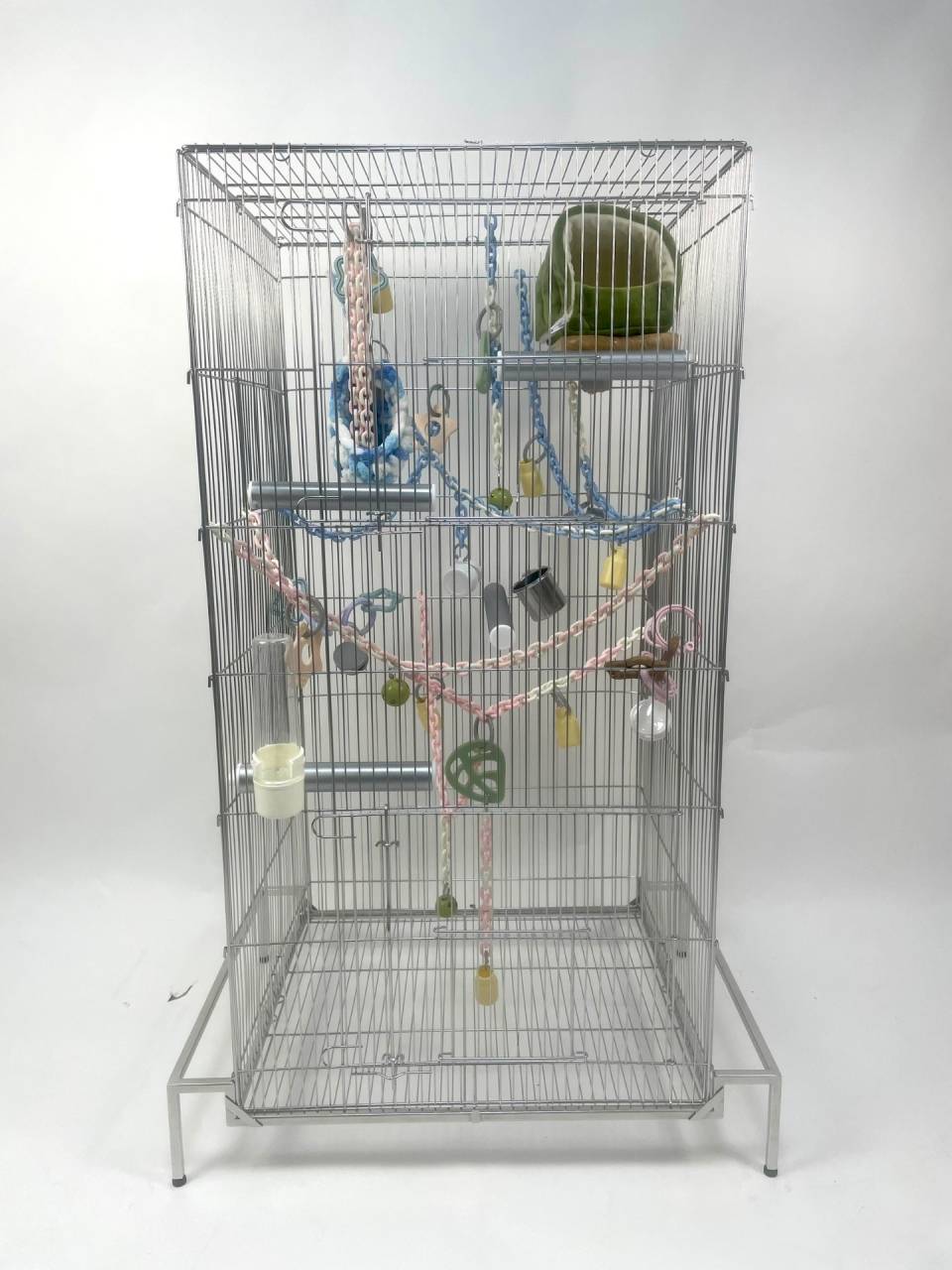 最近フクロモモンガをお迎えされた方へ、飼育に必要なものをお教えし