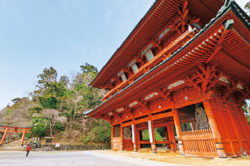 世界遺産登録20周年を迎える真言密教の聖地へ 高野山【和歌山県