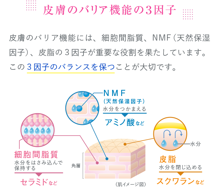 肌あれ・乾燥が気になる敏感肌のスキンケア ノブ Ⅲシリーズ