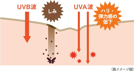 ノブ L&W デイエッセンス UV」商品情報｜ノブ公式ブランドサイト