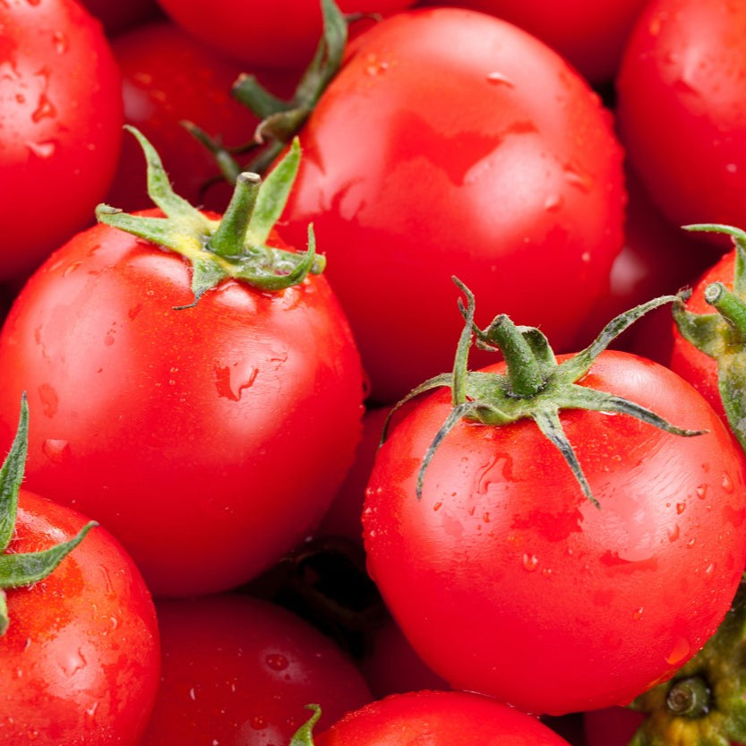 Tomato, Centennial Rocket – Northern Wildflowers