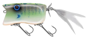 GILL TOP | BASS | NORIES