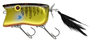 GILL TOP | BASS | NORIES