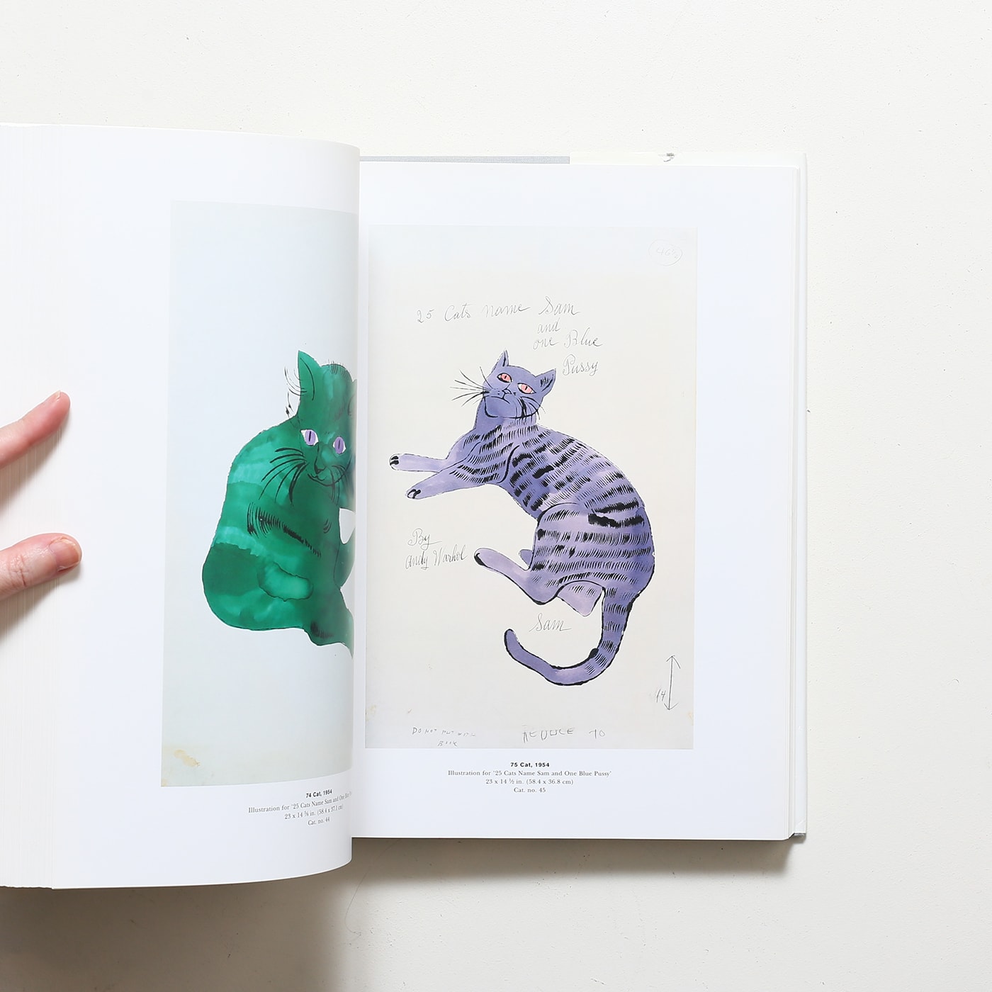 Andy Warhol: Dessins 1942-1987 | アンディ・ウォーホル | nostos