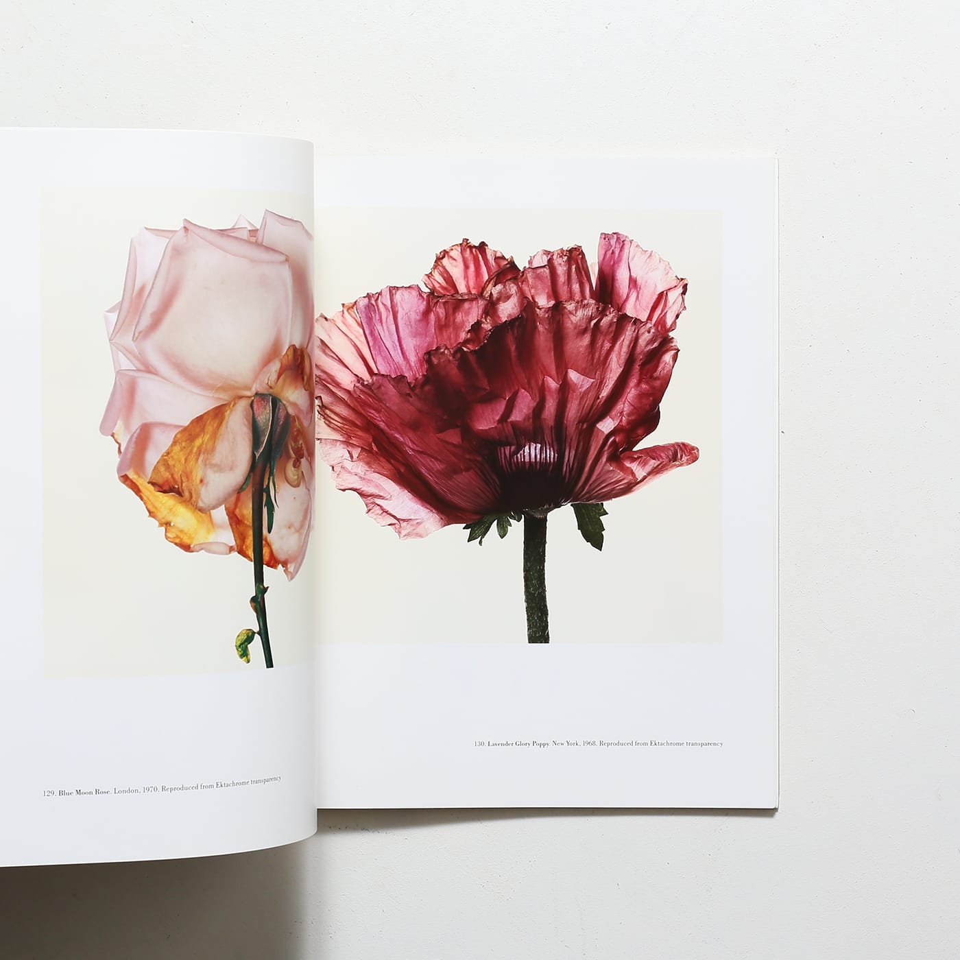Irving Penn | アーヴィング・ペン | nostos books ノストスブックス
