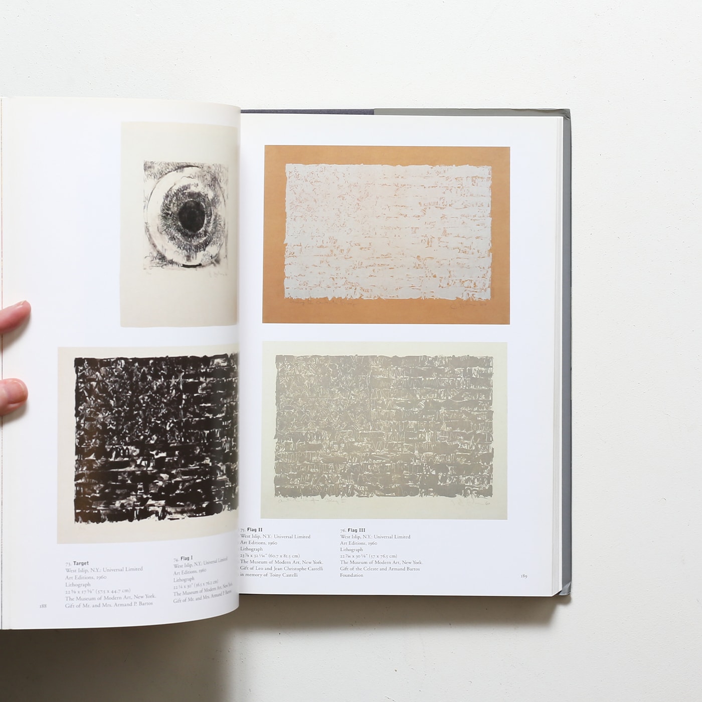 Jasper Johns: A Retrospective | ジャスパー・ジョーンズ | nostos