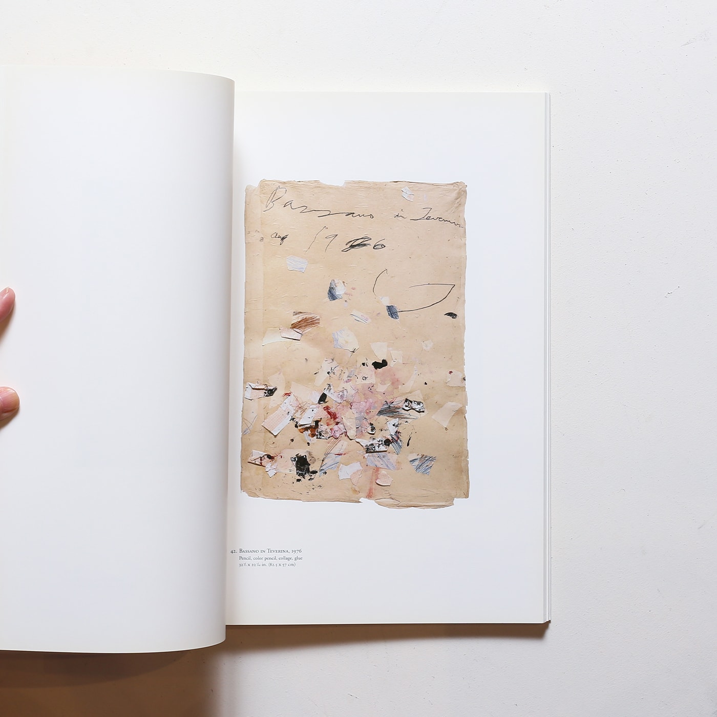 サイ・トゥオンブリー 紙の作品、50年の軌跡 | 原美術館 | nostos