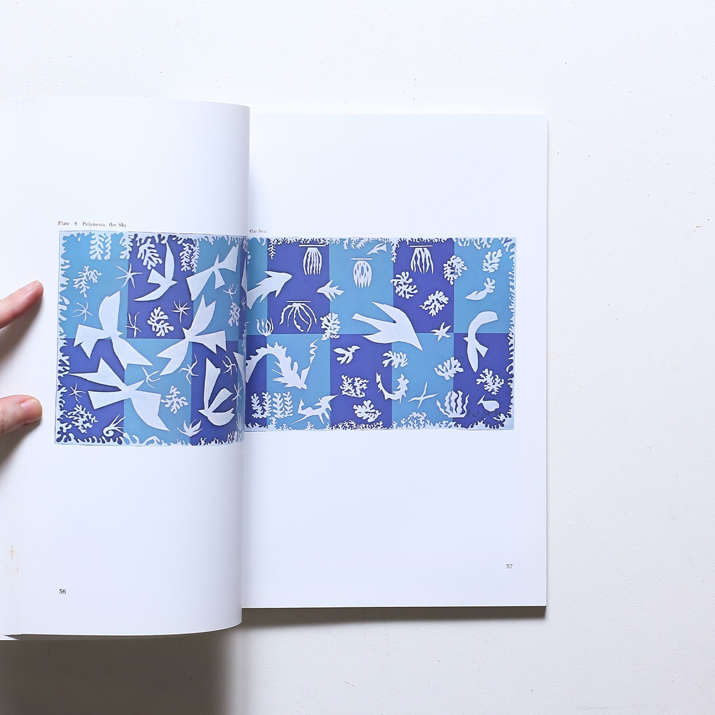 The Cut-Outs of Henri Matisse | アンリ・マティス | nostos books