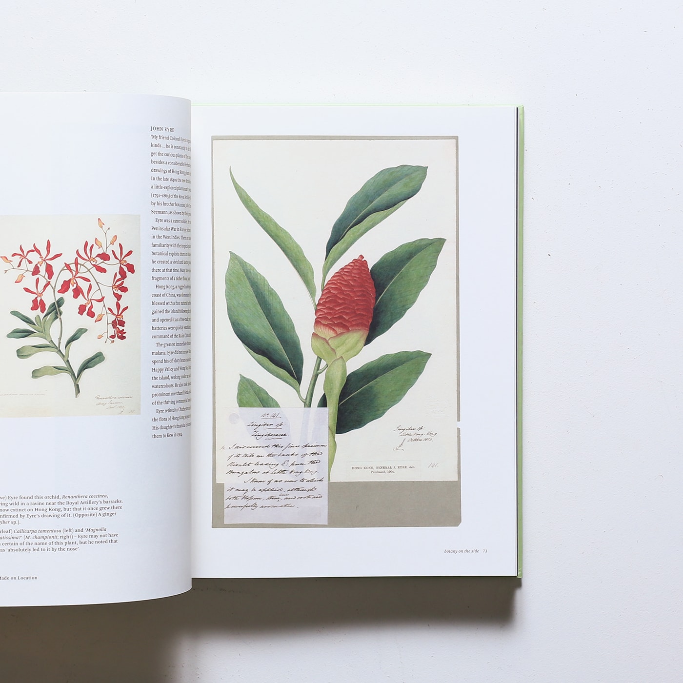 Botanical Sketchbooks | Helen Bynum、William Bynum | nostos books