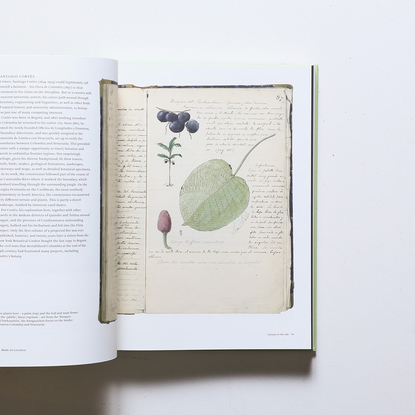 Botanical Sketchbooks | Helen Bynum、William Bynum | nostos books