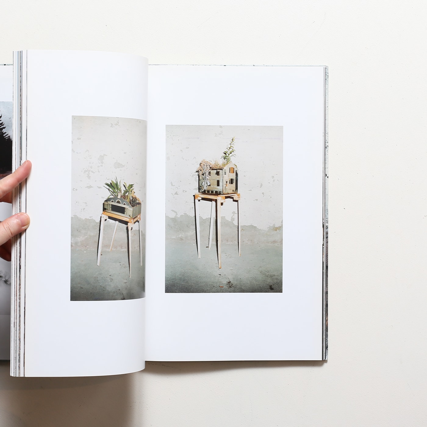 Taiyo Onorato ＆ Nico Krebs: The Great Unreal | タイヨ・オノラト