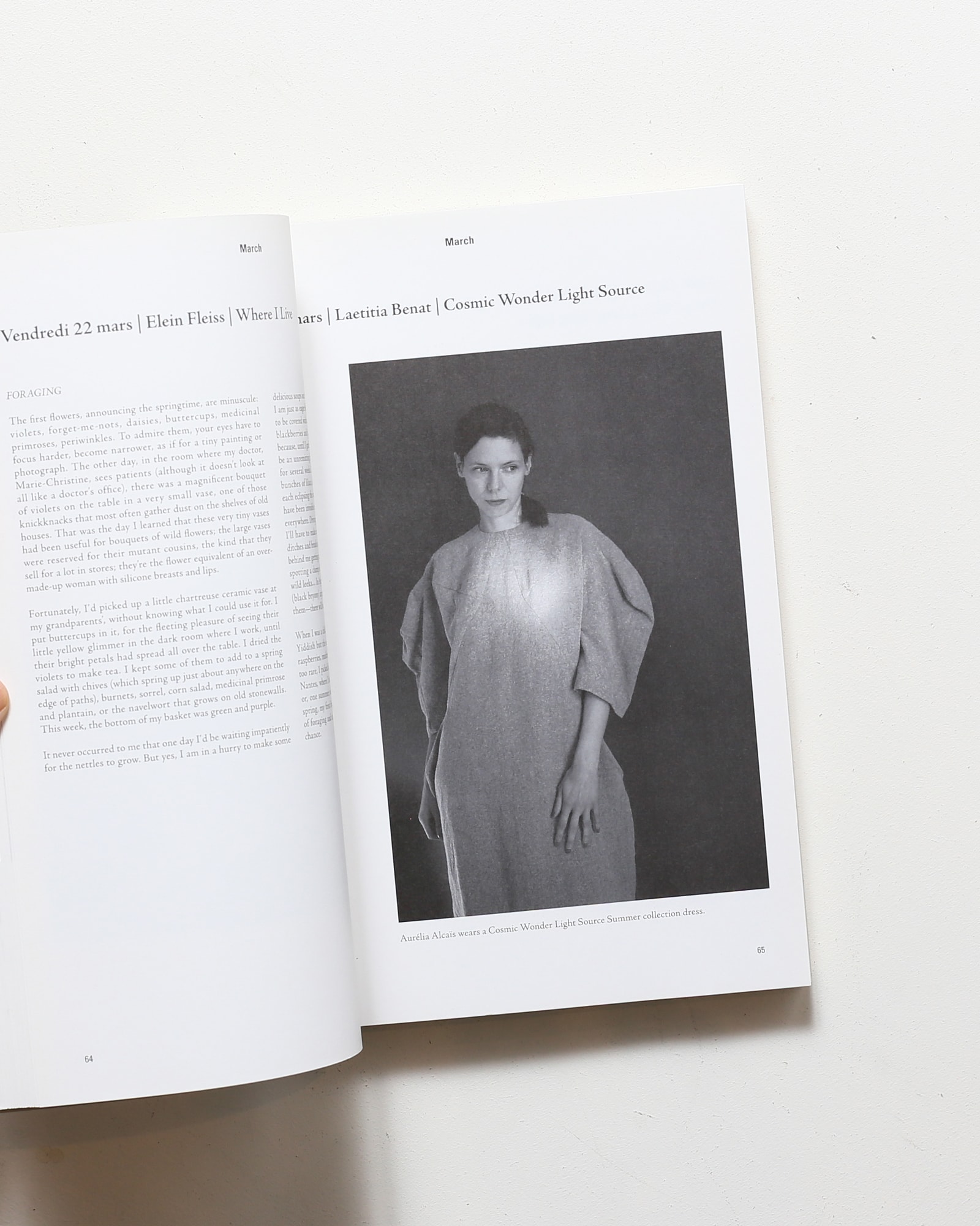 Les Chroniques Purple | Elein Fleise エレン・フライス | nostos