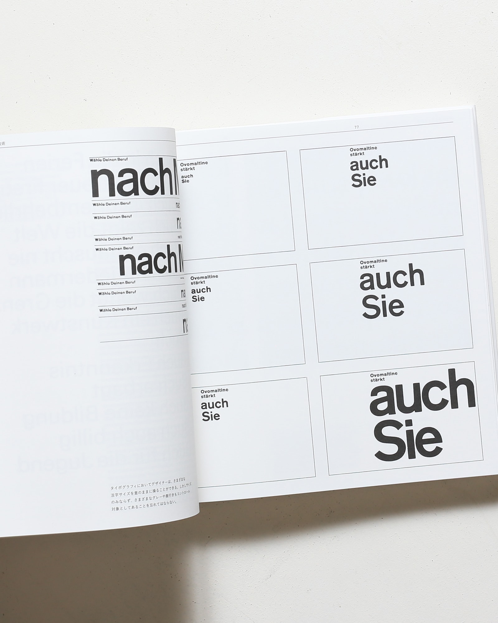 タイポグラフィ: タイポグラフィ的造形の手引き | エミール・ルーダー