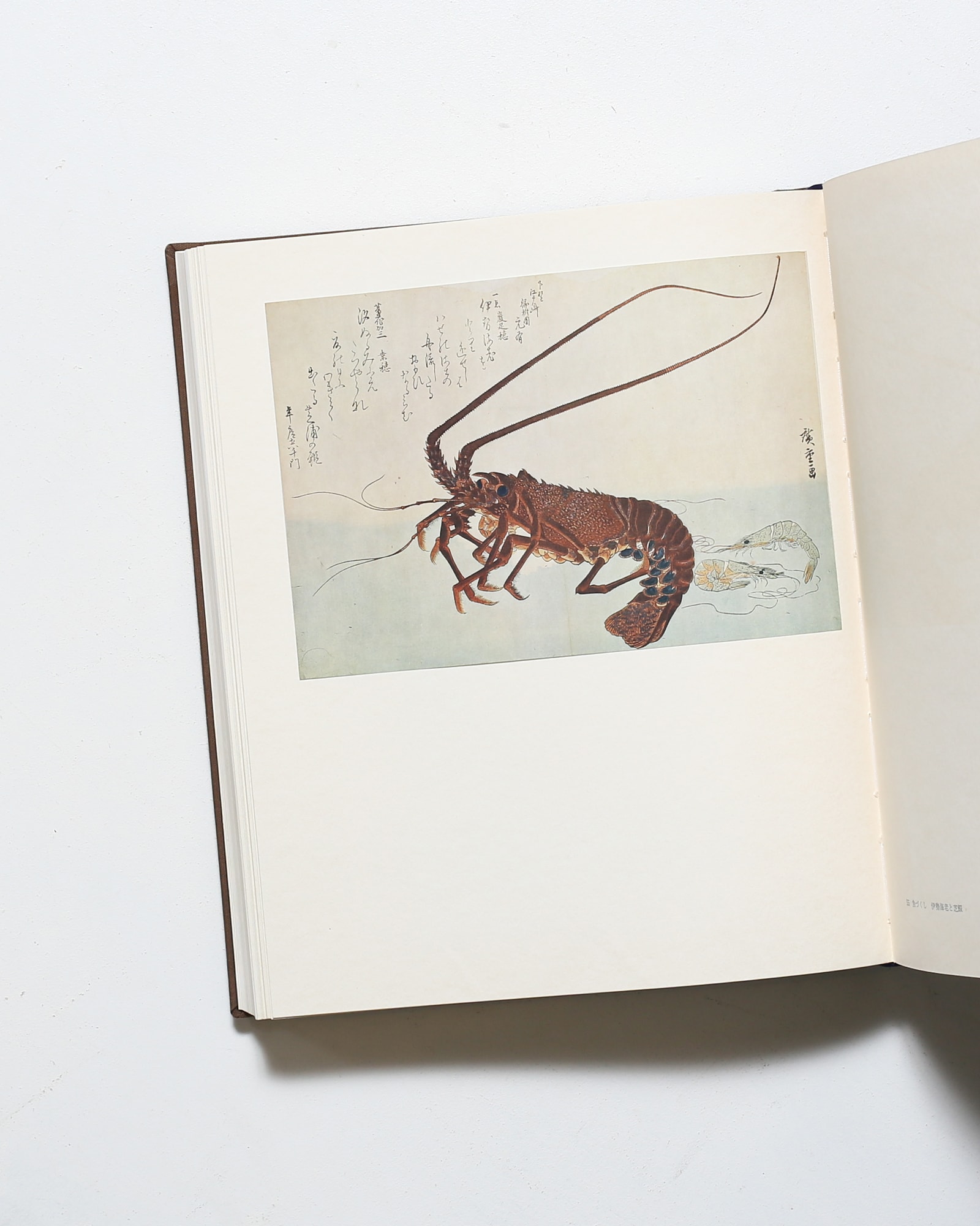 廣重 限定版 | 鈴木重三 | nostos books ノストスブックス