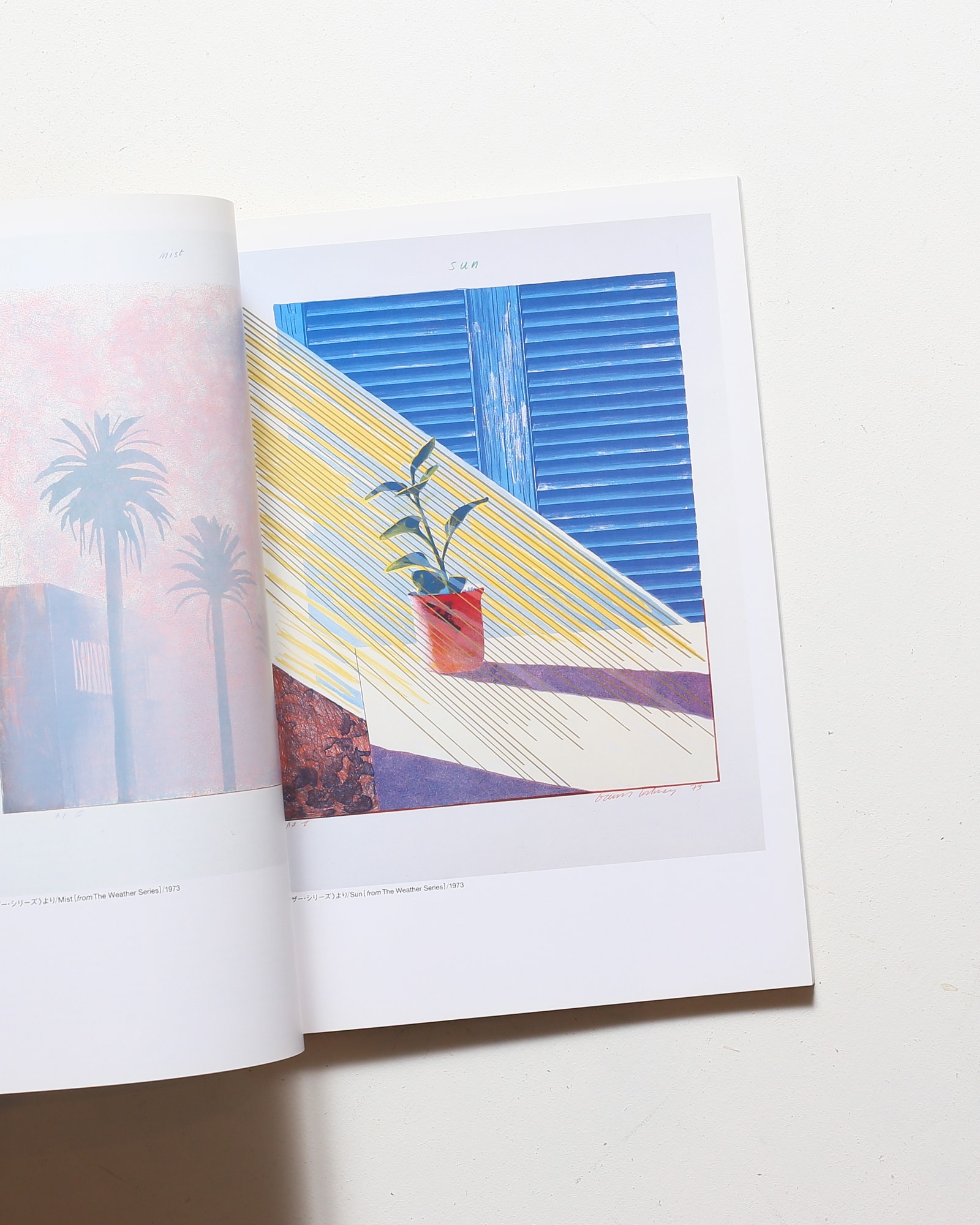 Hockney in California デイヴィッド・ホックニー展 | nostos books