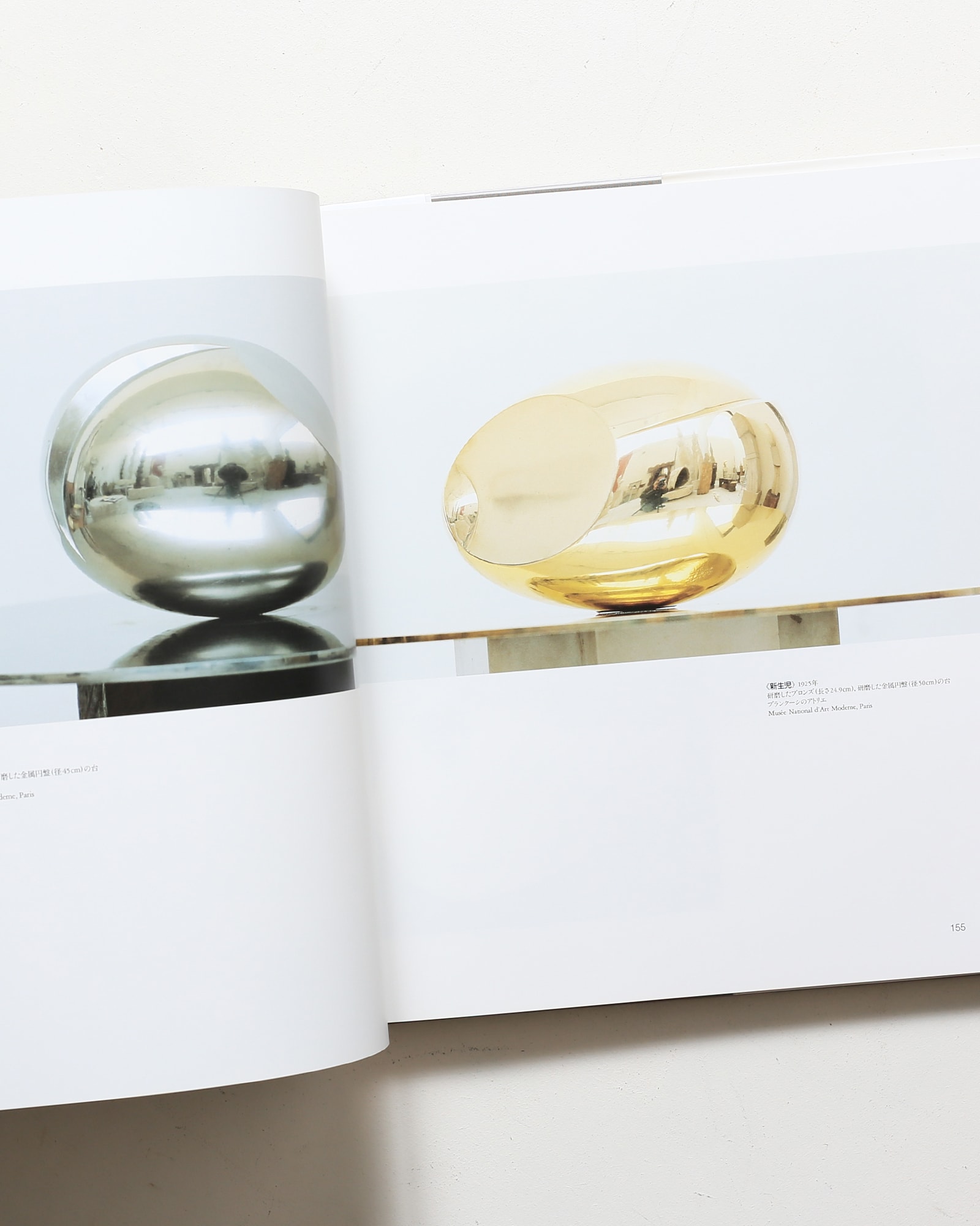 ブランクーシ作品集 | ラドゥ・ヴァリア | nostos books ノストスブックス