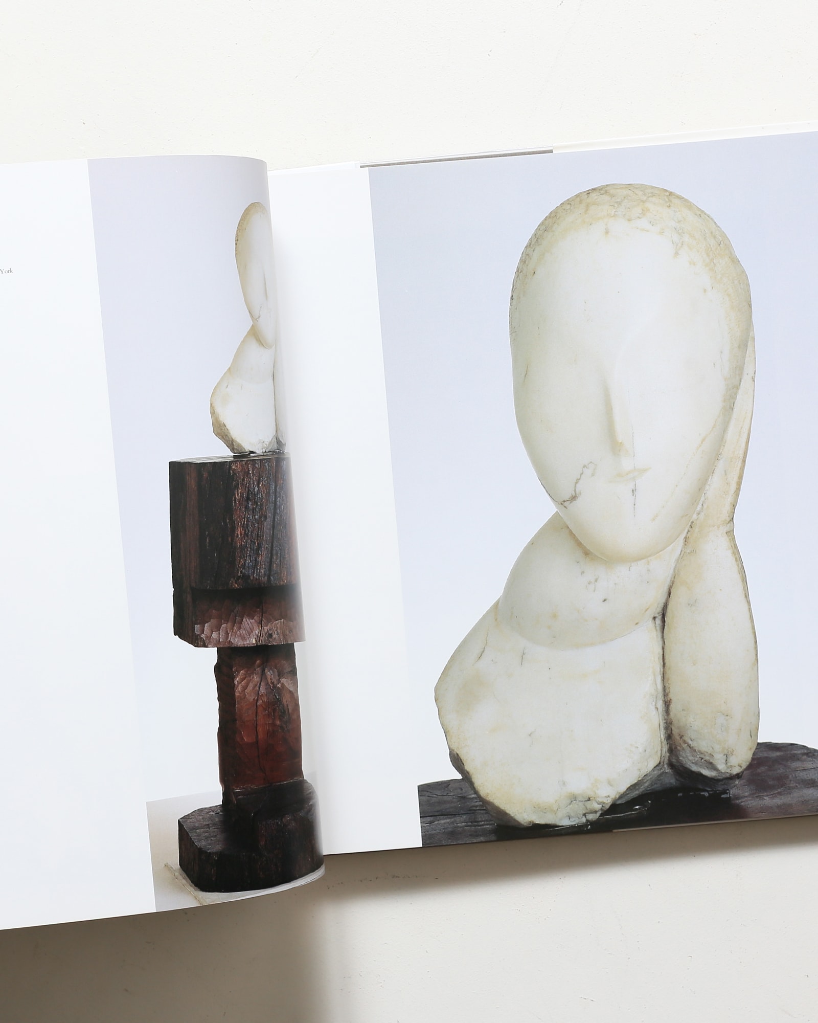 ブランクーシ作品集 | ラドゥ・ヴァリア | nostos books ノストスブックス