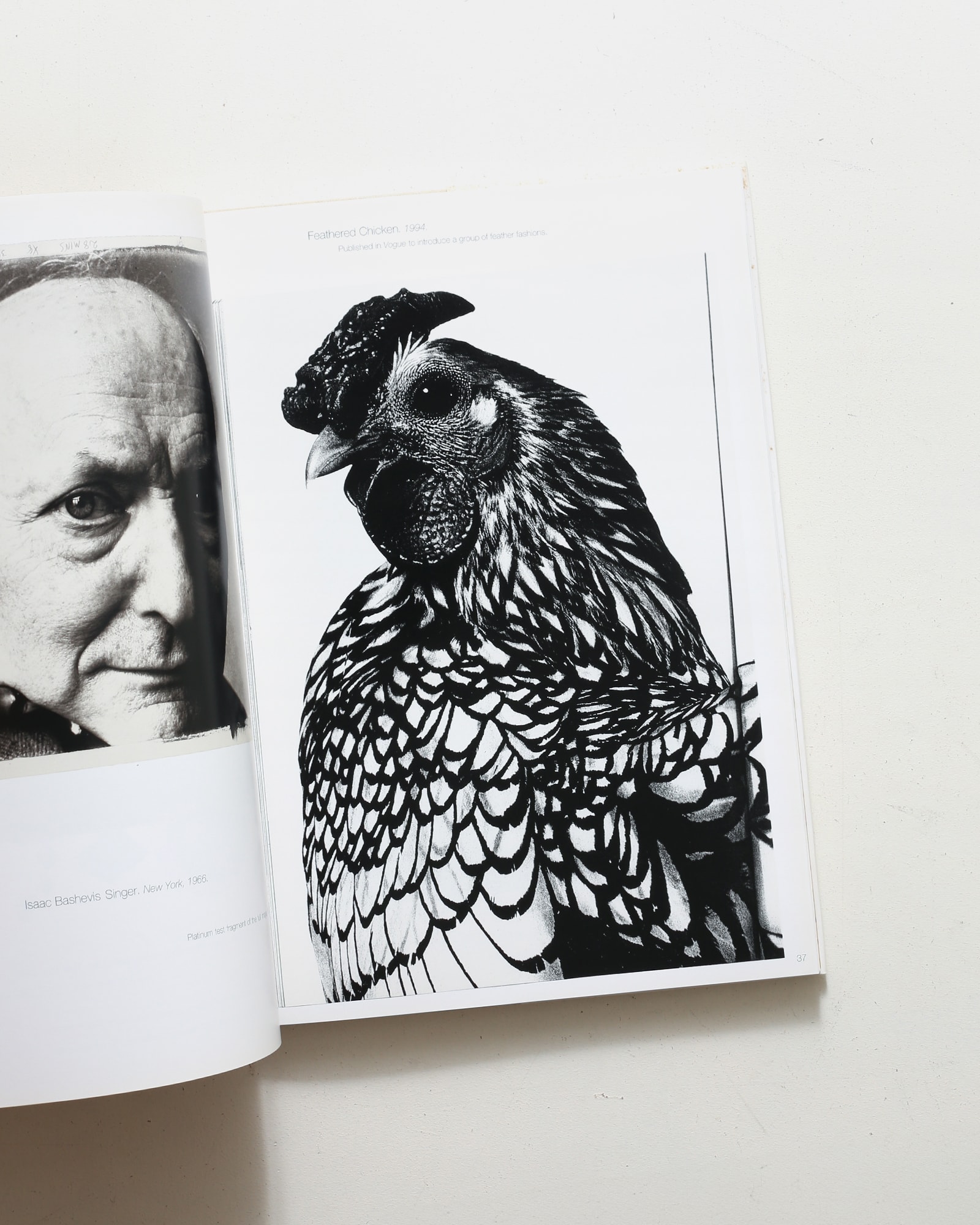 A Notebook at Random | Irving Penn | nostos books ノストスブックス