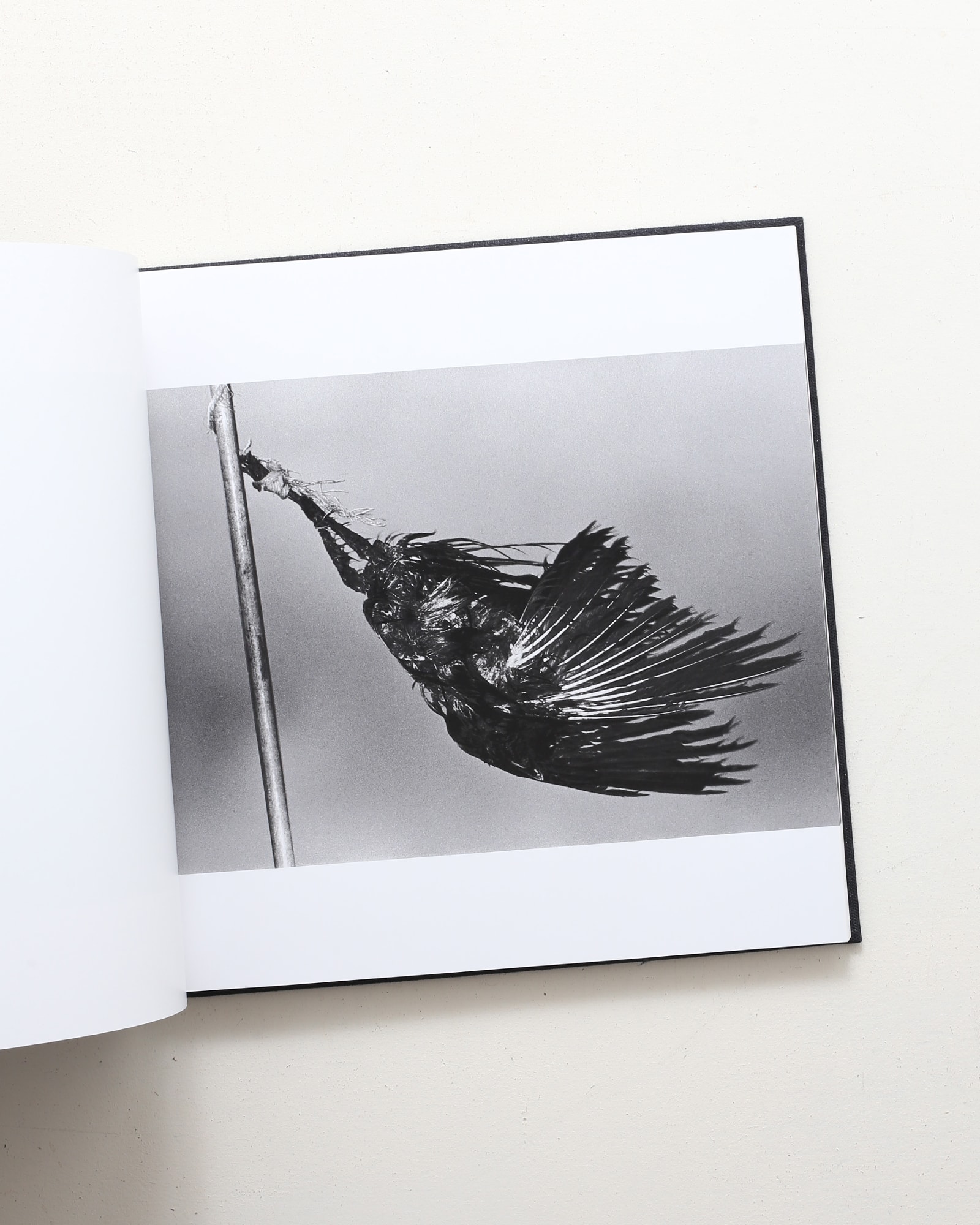 鴉 Ravens | 深瀬昌久 | nostos books ノストスブックス