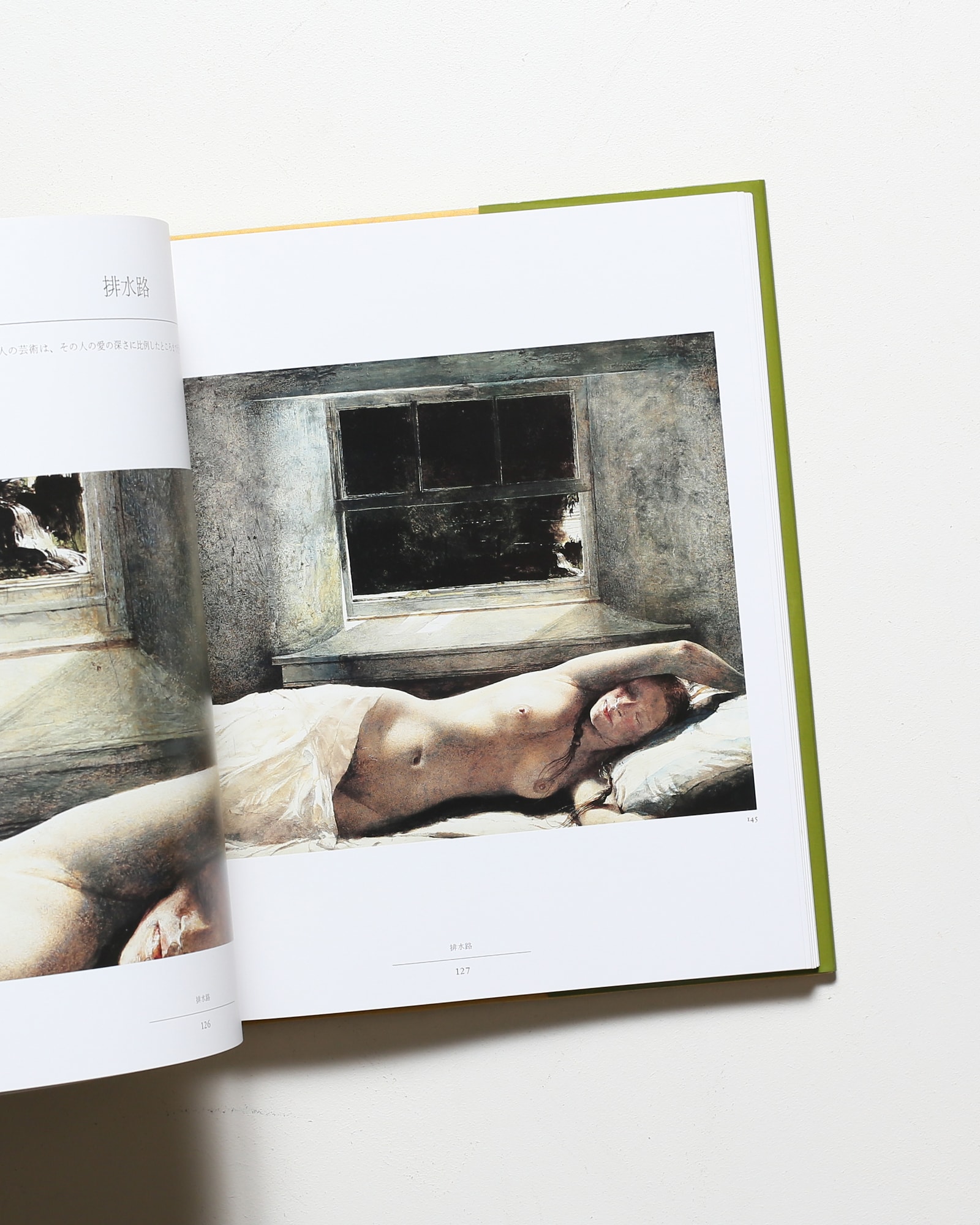 ヘルガ ワイエス画集3 | アンドリュー・ワイエス | nostos books