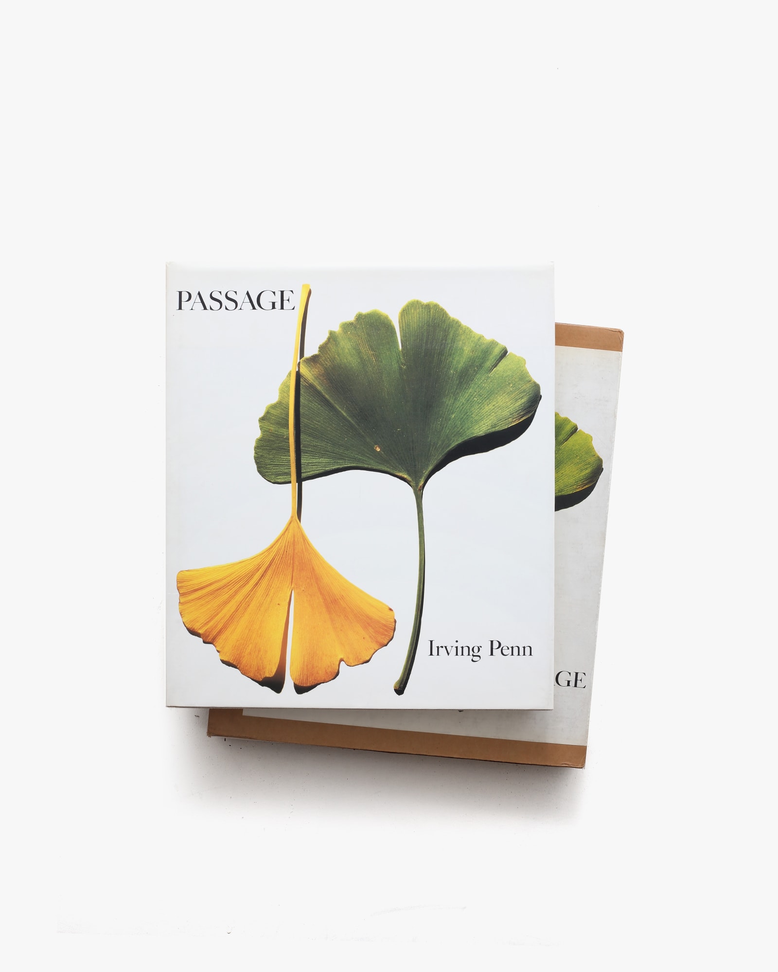 パッセージ Passage | アーヴィング・ペン | nostos books ノストス