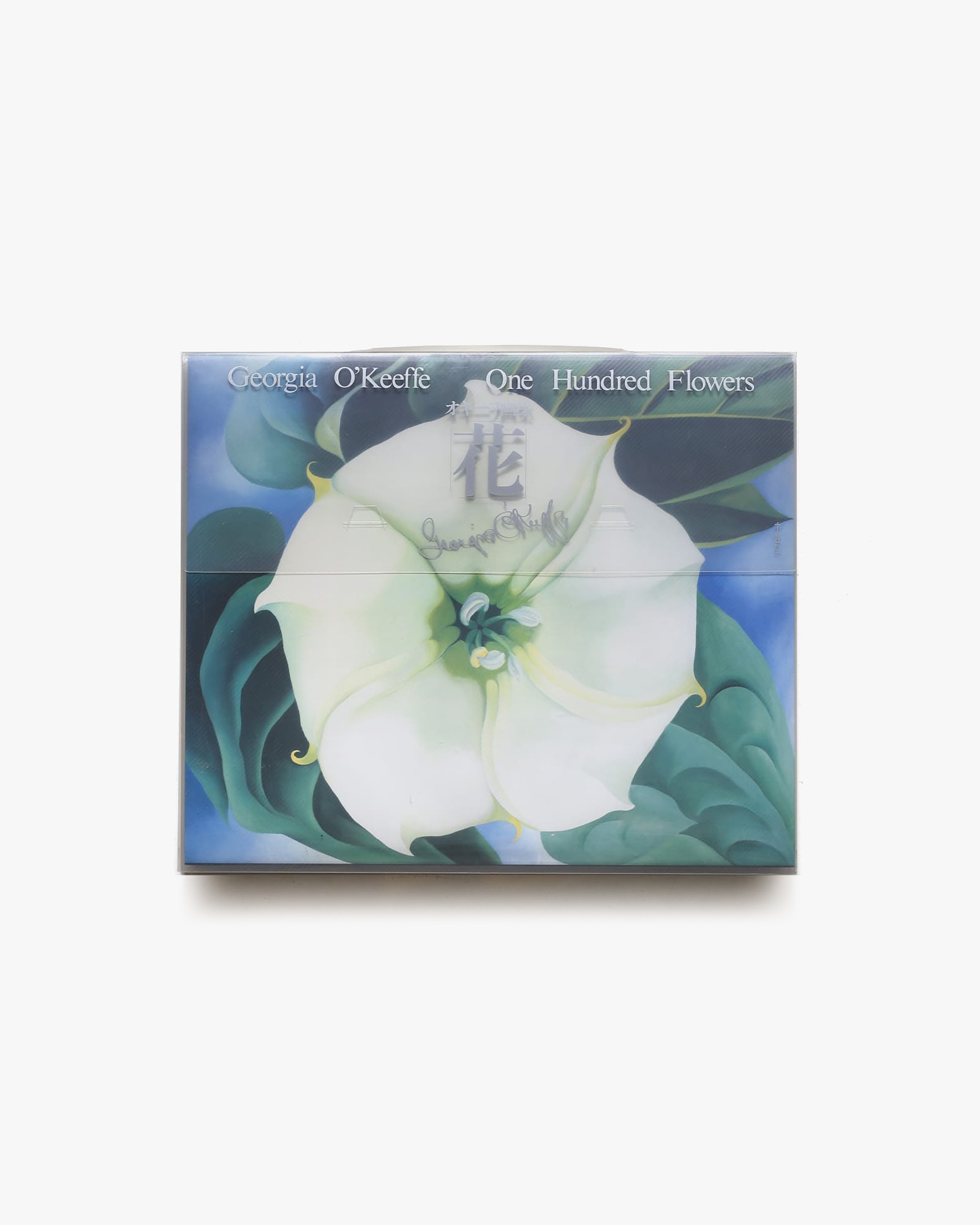 オキーフ画集 花 | リブロポート | nostos books ノストスブックス