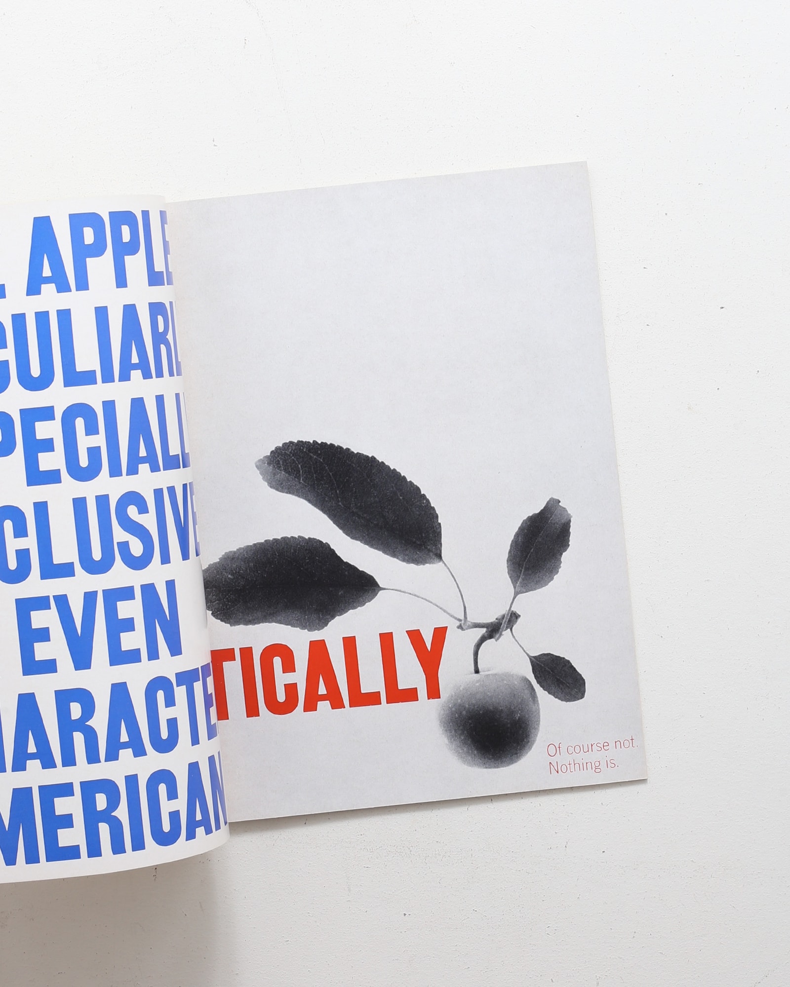 About U.S. Experimental Typography by American Designers | Percy