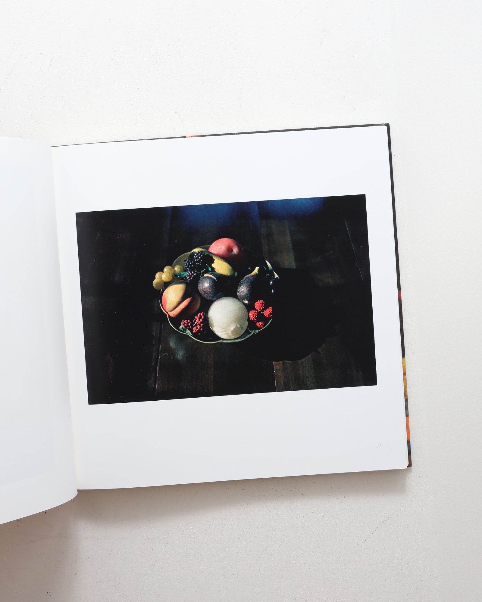 The Democratic Forest | William Eggleston ウィリアム・エグルストン