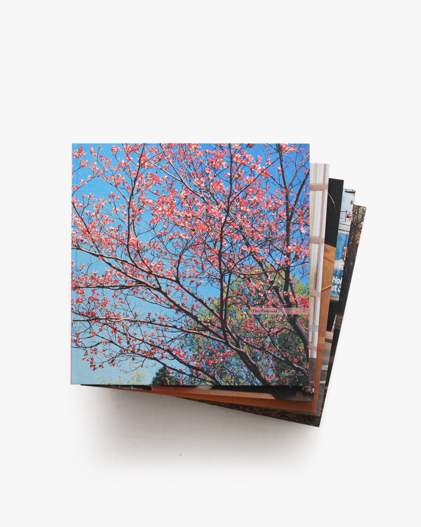 The Democratic Forest | William Eggleston ウィリアム・エグルストン