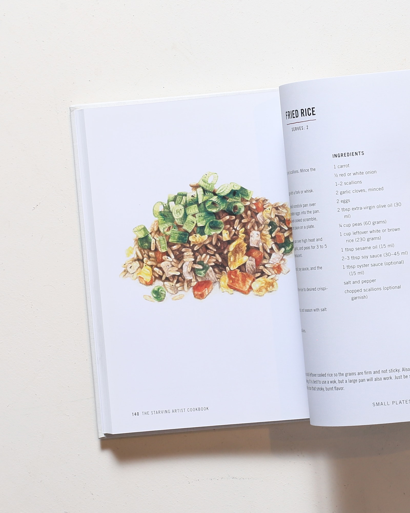 The Starving Artist Cookbook: Illustrated Recipes for First-Time