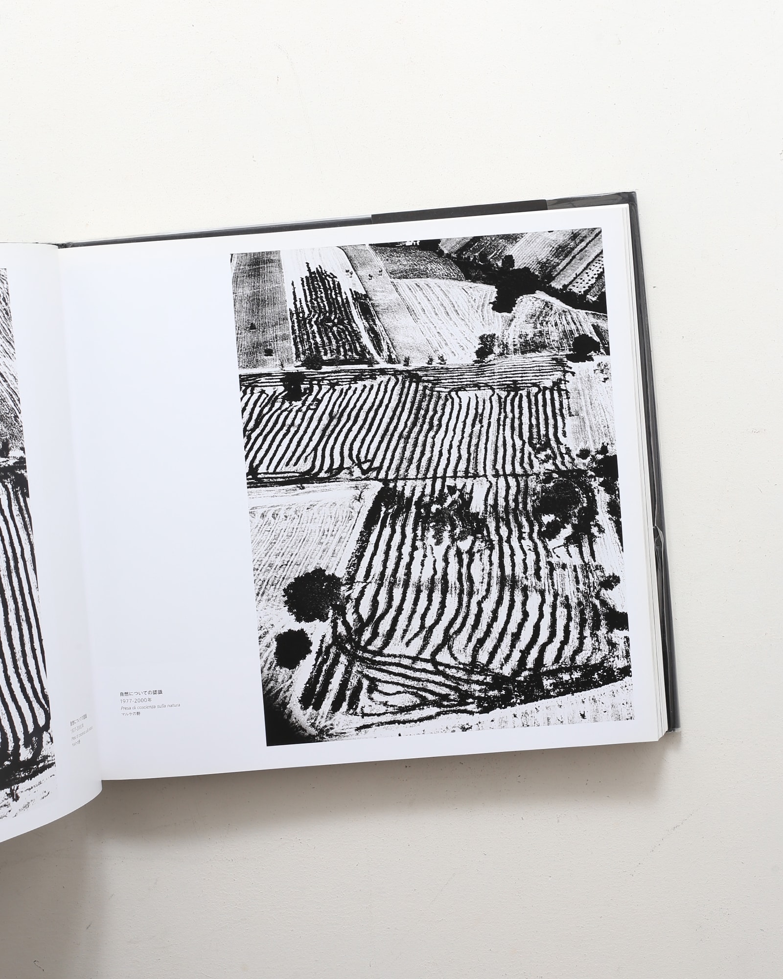 Mario Giacomelli 黒と白の往還の果てに | マリオ・ジャコメッリ