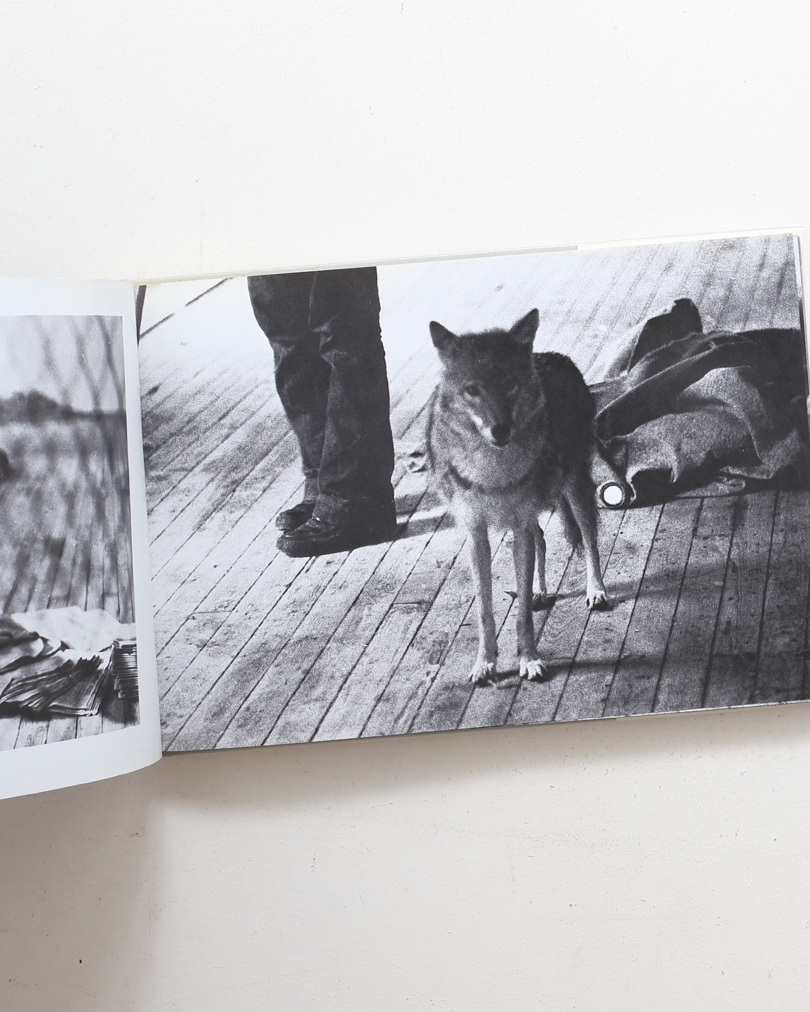 Joseph Beuys: Coyote | ヨーゼフ・ボイス | nostos books ノストス