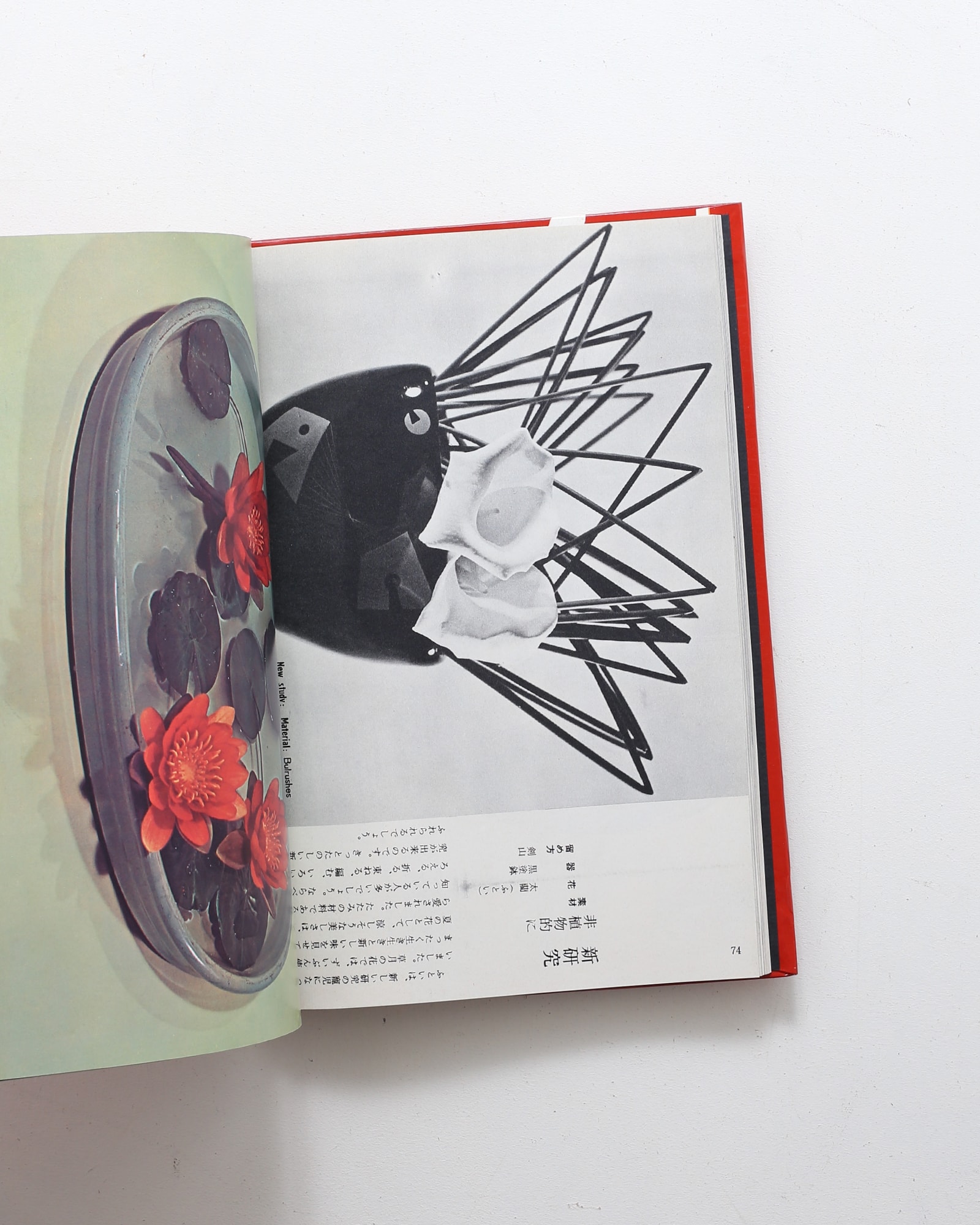 草月の花 | 勅使河原蒼風 | nostos books ノストスブックス