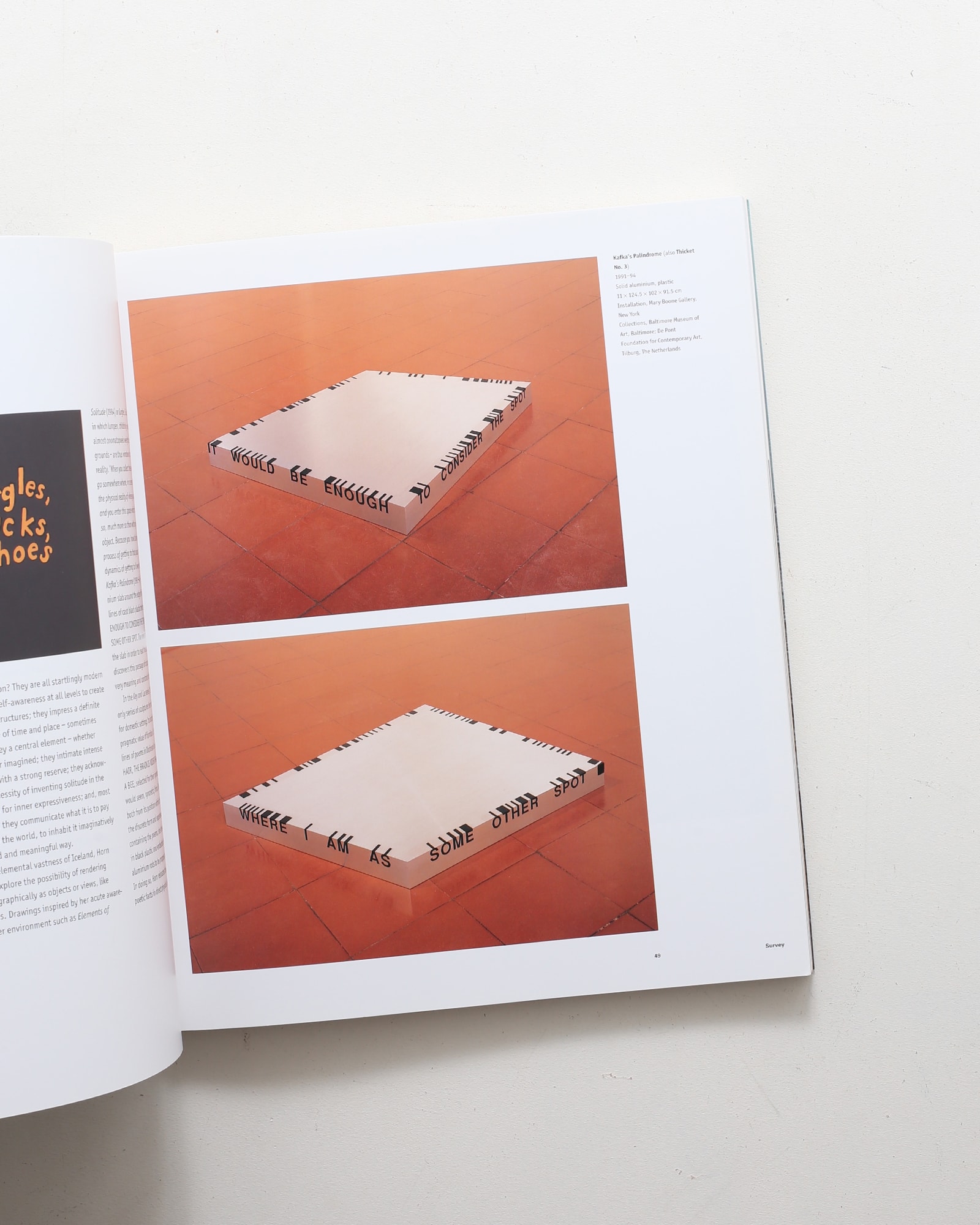 Roni Horn | ロニ・ホーン | nostos books ノストスブックス