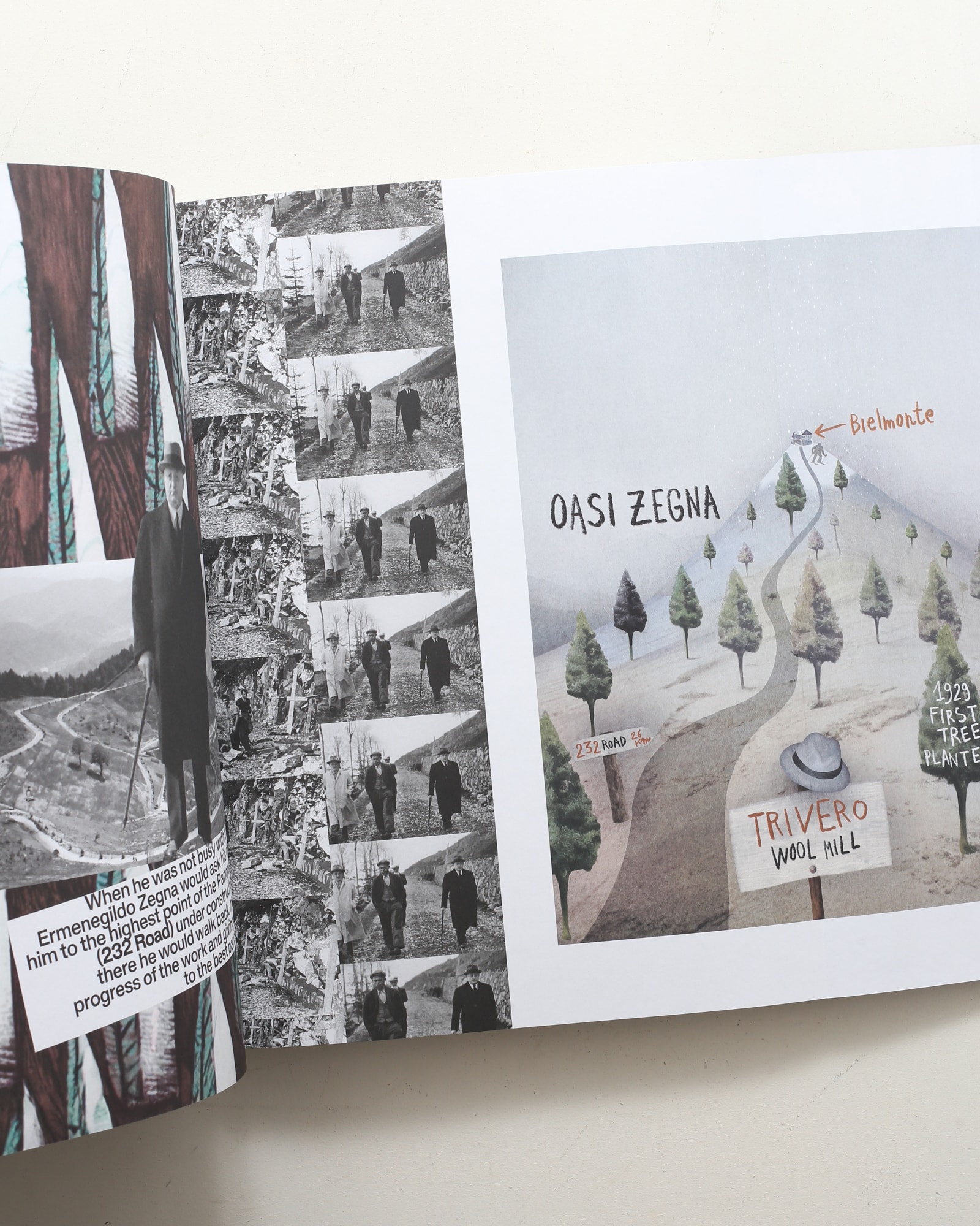 Born in Oasi Zegna | Rizzoli | nostos books ノストスブックス