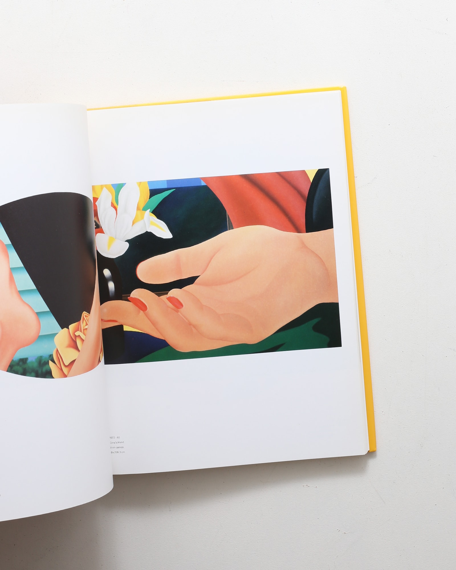 Tom Wesselmann | トム・ウェッセルマン | nostos books ノストスブックス