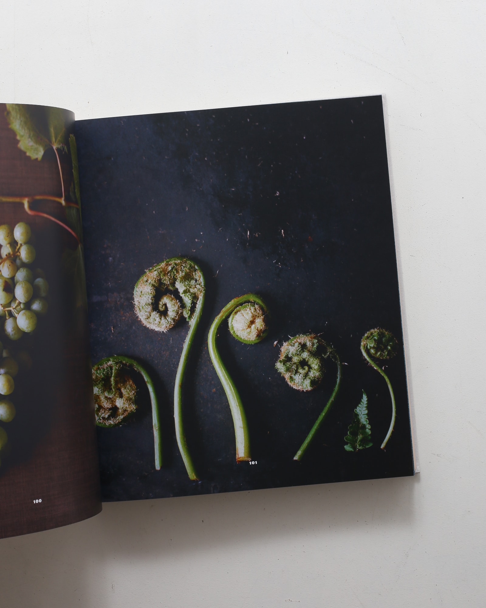 ノーマ 北欧料理の時間と場所 | レネ・レゼピ | nostos books ノストス