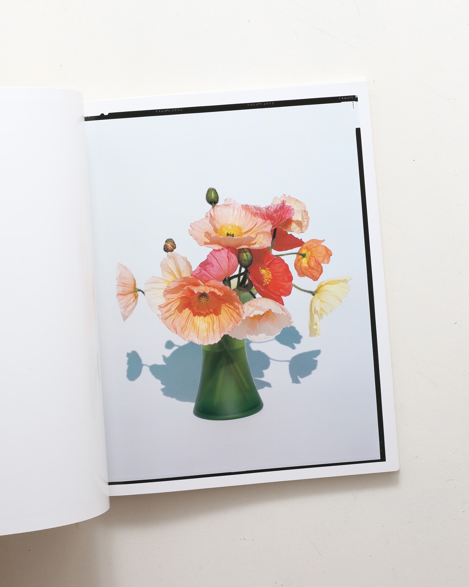 Flowers | 上田義彦 | nostos books ノストスブックス