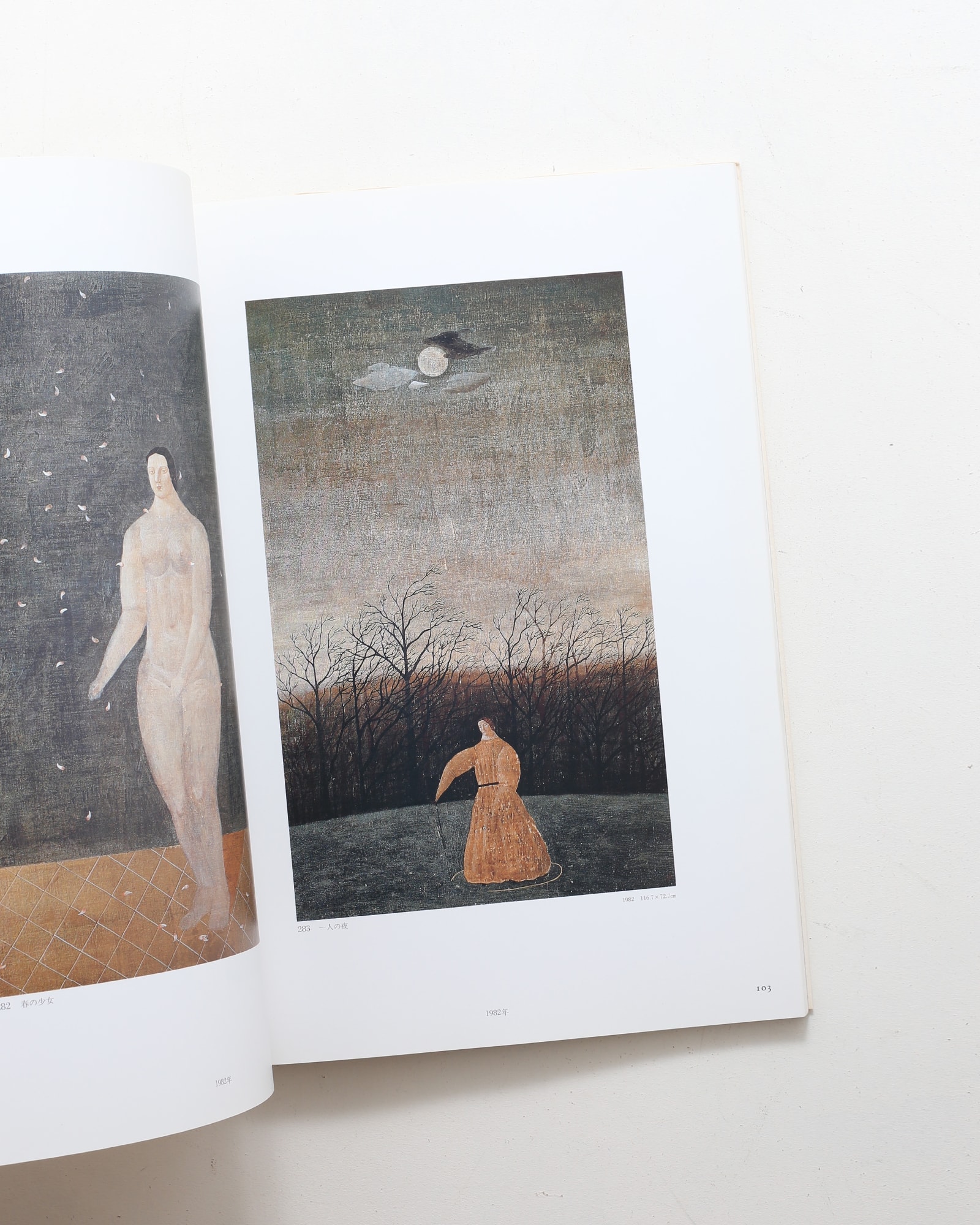 有元利夫全作品 1973-1984 | nostos books ノストスブックス