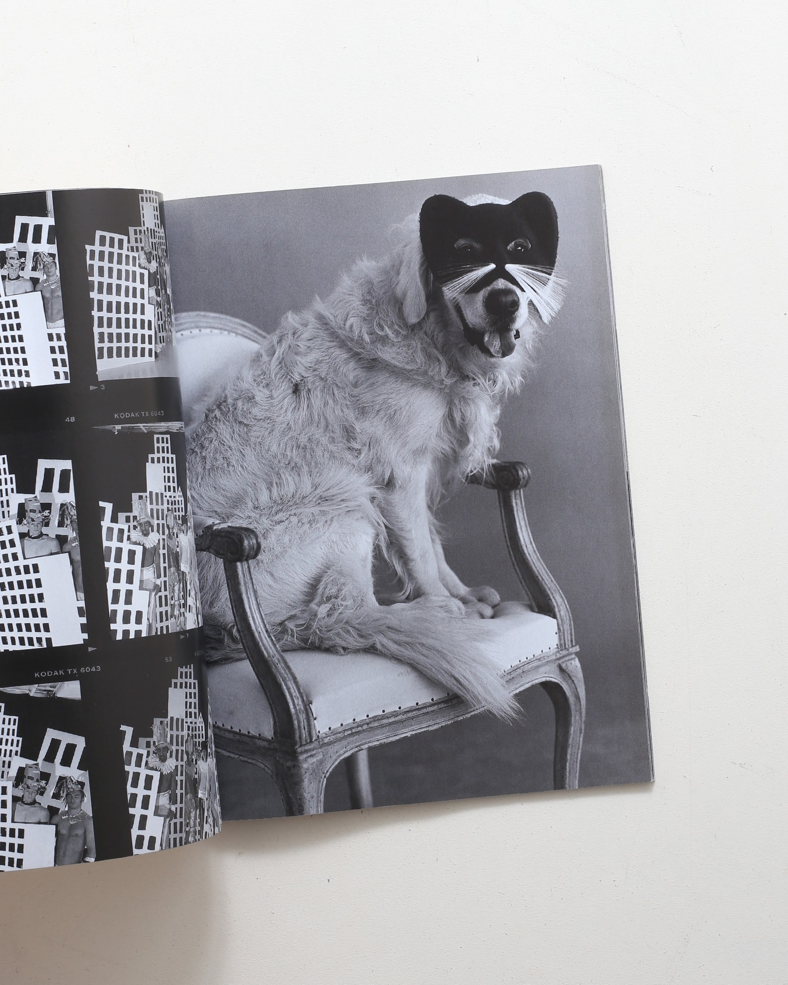 A Letter To True: A Film Journal | Bruce Weber | nostos books