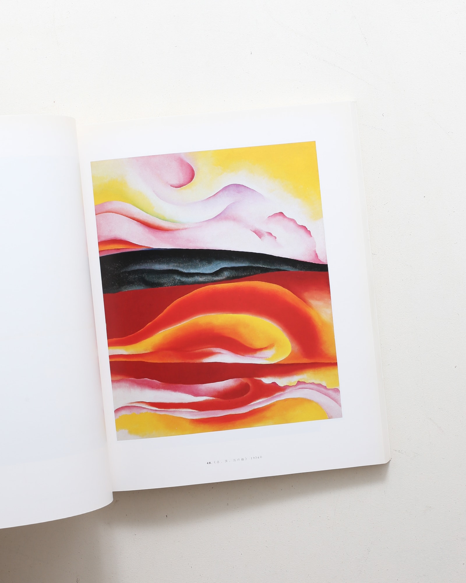 ジョージア・オキーフ アメリカン＆モダン | nostos books ノストス